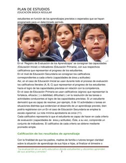 Plan de Estudios Primaria 2025 Minedu | PDF | Plan de estudios ...