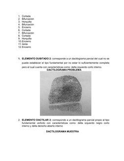 1. Cortada
2. Bifurcación 
3. Horquilla 
4. Bifurcación 
5. Encierro
6. Cortada
7. Bifurcación
8. Cortada
9. Horquilla
10.Enc