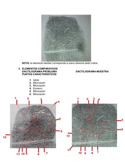 NOTA: el elemento dactilar corresponde a mano derecha dedo índice 
3. ELEMENTOS COMPARATIVOS
DACTILOGRAMA PROBLEMA