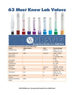Essential CBC and BMP Lab Values | PDF | Creatinine | Blood
