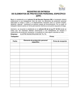 Registro de Entrega de EPP Específico | PDF