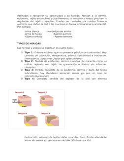 desinados  a  recuperar  su  continuidad  y  su  función.  Afectan  a  la  dermis,
epidermis, tejido subcutáneo y posiblement