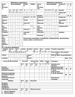Miembros superiores
Miembros inferiores
Arcos 
de
Movimie
nt
Anormalidad
PHALE
N
TINNEL
Arcos 
de
Movimie
nto
Anormalidad
Ins