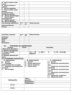 III   Nervio motor ocular 
común
IV   Nervio troclear o 
patético
V    Nervio trigémino
VI   Nervio motor ocular 
externo
VII