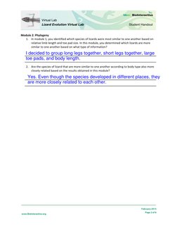 Lizard-Evolution-Virtual-Lab-Student-Worksheet 1 | PDF | Evolution ...