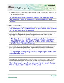 Lizard Evolution Virtual Lab Guide | PDF | Evolution | Adaptation