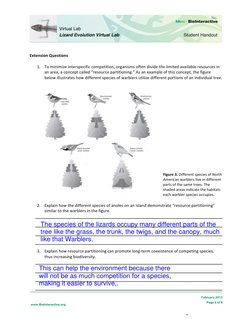 Lizard Evolution Virtual Lab Guide | PDF | Evolution | Adaptation