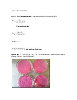 a2= 2
4 ×66=33colonias
A partir de la Formula No.2, se obtuvo como resultado final:
N=
∑a
V (n1+0.1(n2))d
          (Formula