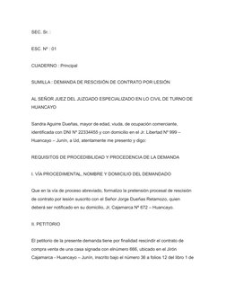 SEC. Sr. :
ESC. Nº : 01
CUADERNO : Principal
SUMILLA : DEMANDA DE RESCISIÓN DE CONTRATO POR LESIÓN
AL SEÑOR JUEZ DEL JUZGADO