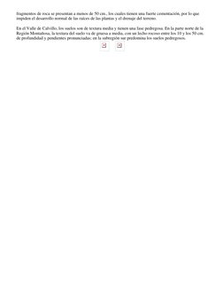 fragmentos de roca se presentan a menos de 50 cm., los cuales tienen una fuerte cementación, por lo que 
impiden el desarroll