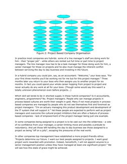 Figure 2: Project Based Company Organisation
In practice most companies are hybrids: some of a line manager's staff are doing