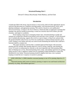 Understanding Structural Pruning | PDF | Pruning | Trees
