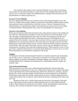 Understanding Structural Pruning | PDF | Pruning | Trees