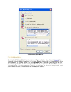 Figure 1-1 SPSS opening screen
The SPSS Data Editor
Examine the SPSS Data Editor's Data View shown in Figure 1-2 below. You w