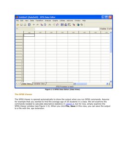 Figure 1-2 SPSS Data Editor (Data View)
The SPSS Viewer
The SPSS Viewer is opened automatically to show the output when you r
