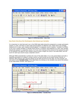 Figure 2-1 SPSS Data Editor - Data View
Key Point: One Row Per Participant, One Column per Variable
It is important to note t