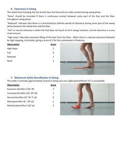 Edinburgh Visual Gait Score Overview | PDF | Foot | Anatomical Terms Of ...