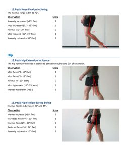 Edinburgh Visual Gait Score Overview | PDF | Foot | Anatomical Terms Of ...