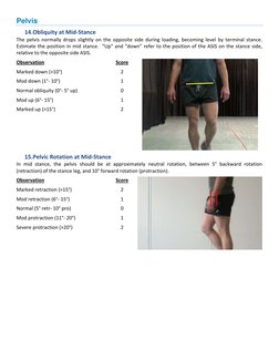 Edinburgh Visual Gait Score Overview | PDF | Foot | Anatomical Terms Of ...