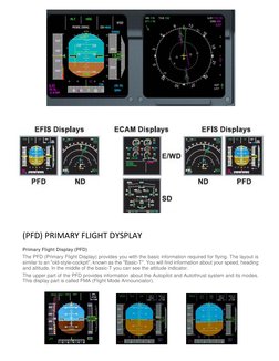 (PFD) PRIMARY FLIGHT DYSPLAY 
Primary Flight Display (PFD) 
The PFD (Primary Flight Display) provides you with the ba