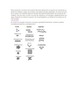 Para comenzar, se toma una muestra del sarro dental de un alumno con ayuda de un 
palillo de madera. Luego, se le ponen unas