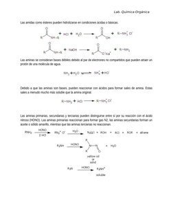 Lab. Química Orgánica   
Las amidas como ésteres pueden hidrolizarse en condiciones ácidas o básicas.
Las aminas se considera