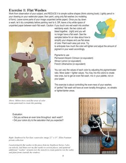 2
Exercise 1: Flat Washes
Work from observation of your subject, and REDUCE it to simple outline shapes (think coloring book)