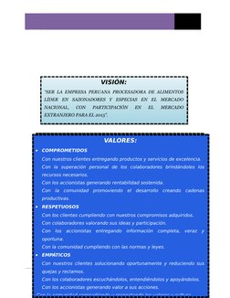 6
VISIÓN:
“SER LA EMPRESA PERUANA PROCESADORA DE ALIMENTOS
LÍDER  EN  SAZONADORES  Y  ESPECIAS  EN  EL  MERCADO
NACIONAL,  CO