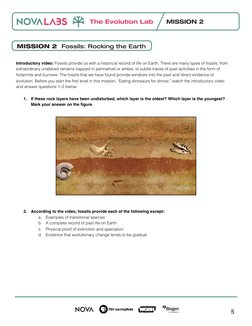 Evolution Lab: Understanding Phylogenetics | PDF | Hominini | Homo