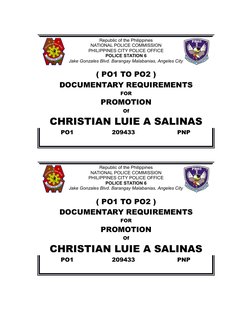 Republic of the Philippines
NATIONAL POLICE COMMISSION
PHILIPPINES CITY POLICE OFFICE
POLICE STATION 6
Jake Gonzales Blvd. Ba