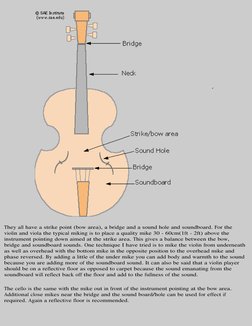 They all have a strike point (bow area), a bridge and a sound hole and soundboard. For the 
violin and viola the typical miki
