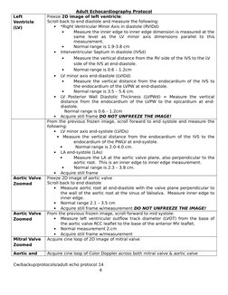 Adult Echocardiography Protocol Guide | PDF | Heart Valve | Ventricle ...