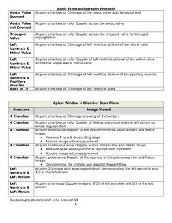 Adult Echocardiography Protocol Guide | PDF | Heart Valve | Ventricle ...