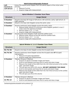 Adult Echocardiography Protocol Guide | PDF | Heart Valve | Ventricle ...