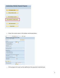 SAP Payment Advice Configuration Guide | PDF | Computing | Software