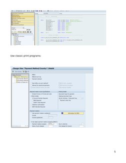 SAP Payment Advice Configuration Guide | PDF | Computing | Software