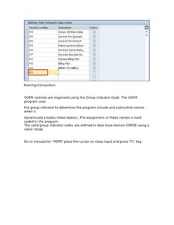 Custom VOFM Routine Creation Guide | PDF | Invoice | Subroutine