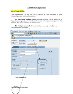 SAP SD Variant Configuration Steps | PDF | Computer Engineering | Areas ...