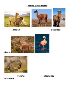 Fauna y Flora de la Zona Norte de Chile | PDF | Organismos | Naturaleza