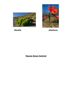 Fauna y Flora de la Zona Norte de Chile | PDF | Organismos | Naturaleza