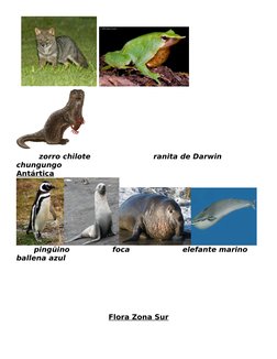 Fauna y Flora de la Zona Norte de Chile | PDF | Organismos | Naturaleza