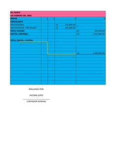 LMACENES DEL NORTE
ERAL, AL 18 DE FEBRERO DEL 2000
PASIVO
1
2
3
4
CIRCULANTE
PROVEEDORES
 C$              145,000.00 
DOCUMEN