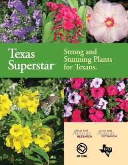 Texas
Superstar
®
.
Strong and 
Stunning Plants 
for Texans.
®
