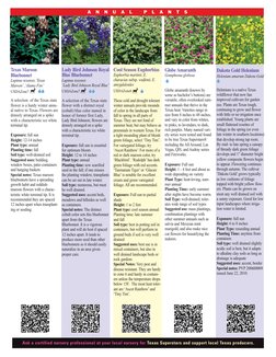 Lady Bird Johnson Royal
Blue Bluebonnet
Lupinus texensis 
‘Lady Bird Johnson Royal Blue’
USDAZone7
A selection of the Texas s