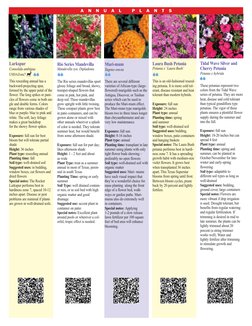 Rio Series Mandevilla
Mandevilla syn. Dipladenia 
The Rio series mandevillas sport
glossy foliage and broad, showy,
trumpet-s