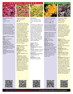 Vinca Cora Series
Catharanthus roseus
Cora and Nirvana vinca (com-
monly referred to as periwinkle)
are the first varieties o