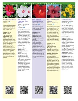 Lord Baltimore 
Perennial Hibiscus
Hibiscus x ‘Lord Baltimore’ 
USDAZone5
This perennial has glossy 
foliage and large red fl