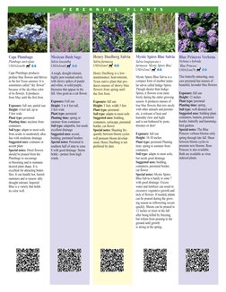 Henry Duelberg Salvia
Salvia farinacea
USDAZone7
Henry Duelberg is a low- 
maintenance; heat-tolerant,
Texas native plant tha