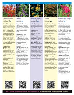 Gold Star Esperanza
Tecoma stans ‘Gold Star’
USDAZone9
This heat-loving, semi-ever-
green shrub has golden-yellow
bell-shaped