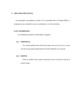 2.  ORGANIZACIÓN SOCIAL 
 
     Las principales trascendencias sociales de la comunidad nativa de Pampa Michi se 
componen